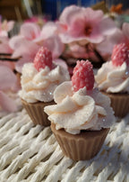 Cupcake Delight
