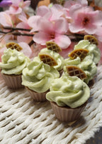 Cupcake Delight